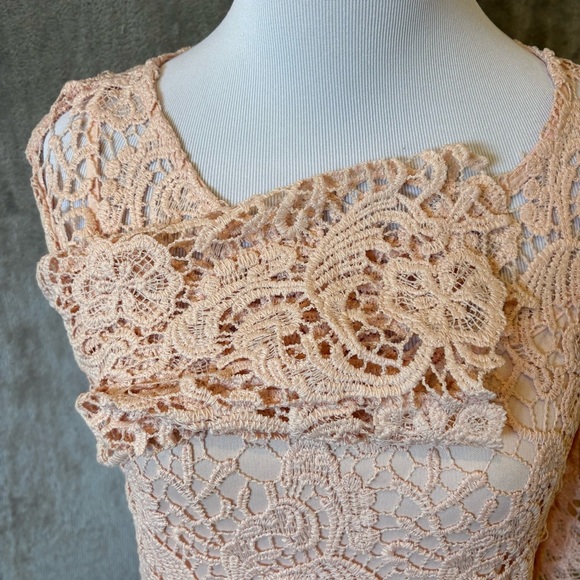 Romantic Rosette Coquette Lace Embroidered Elegant Pink Dress Sz 8 - Picture 5 of 12